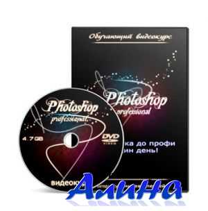 Photoshop-Professional. От чайника до профи за один день (2012)